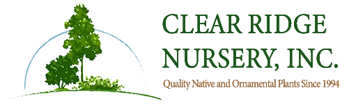 logo_clearridge
