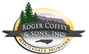 logo_rogercoffeey