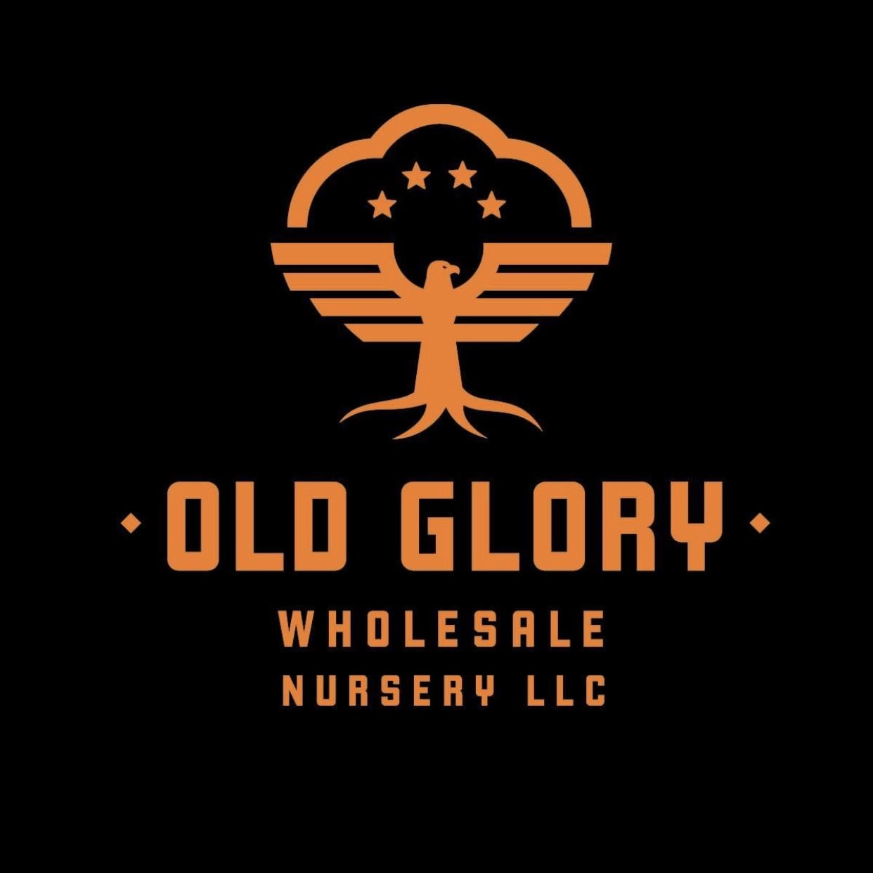 logo_oldglorywholesale