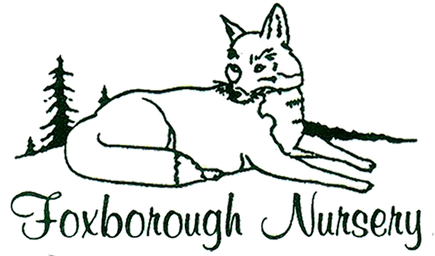 Foxborough Nursery, Inc. Logo