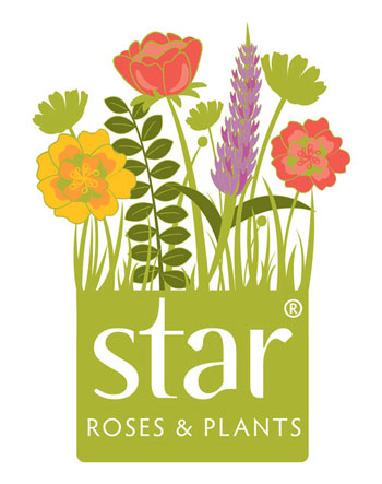 Star Roses and Plants Logo