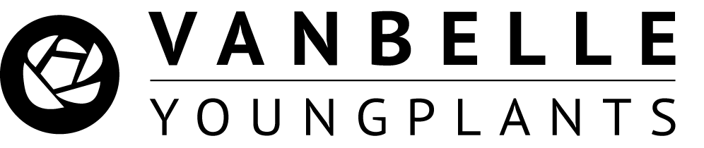 Van Belle Youngplants Logo