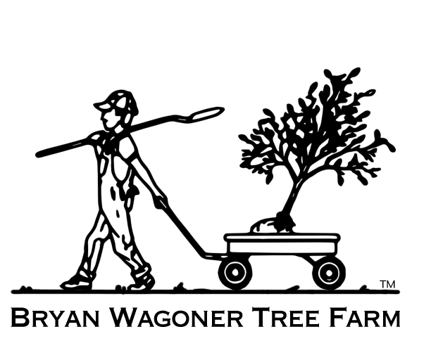Bryan Wagoner Tree Farm Logo